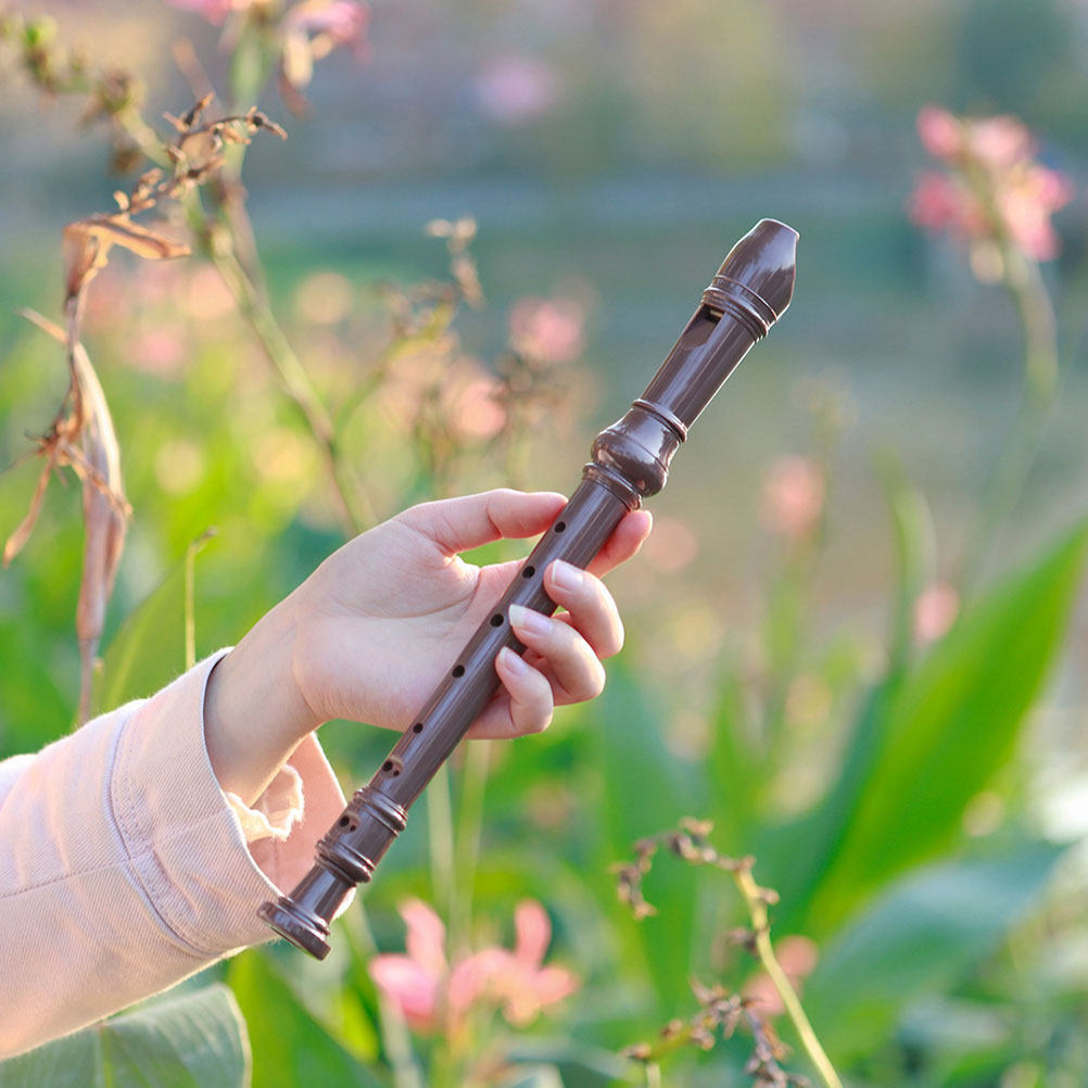 Professional 8 Hole Soprano Re - Soprano Recorder Plastic ulasan dan harga