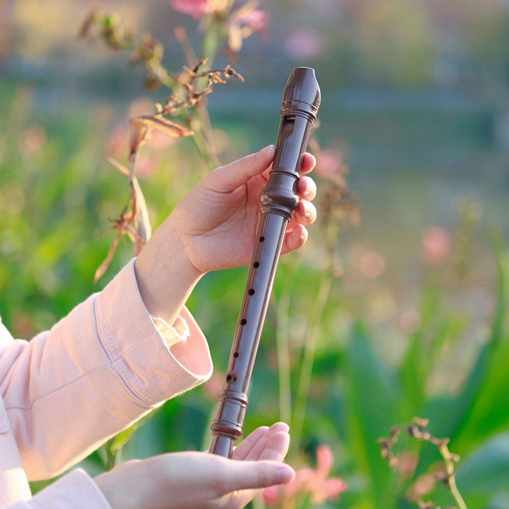 Professional 8 Hole Soprano Re - Soprano Recorder Plastic ulasan dan harga
